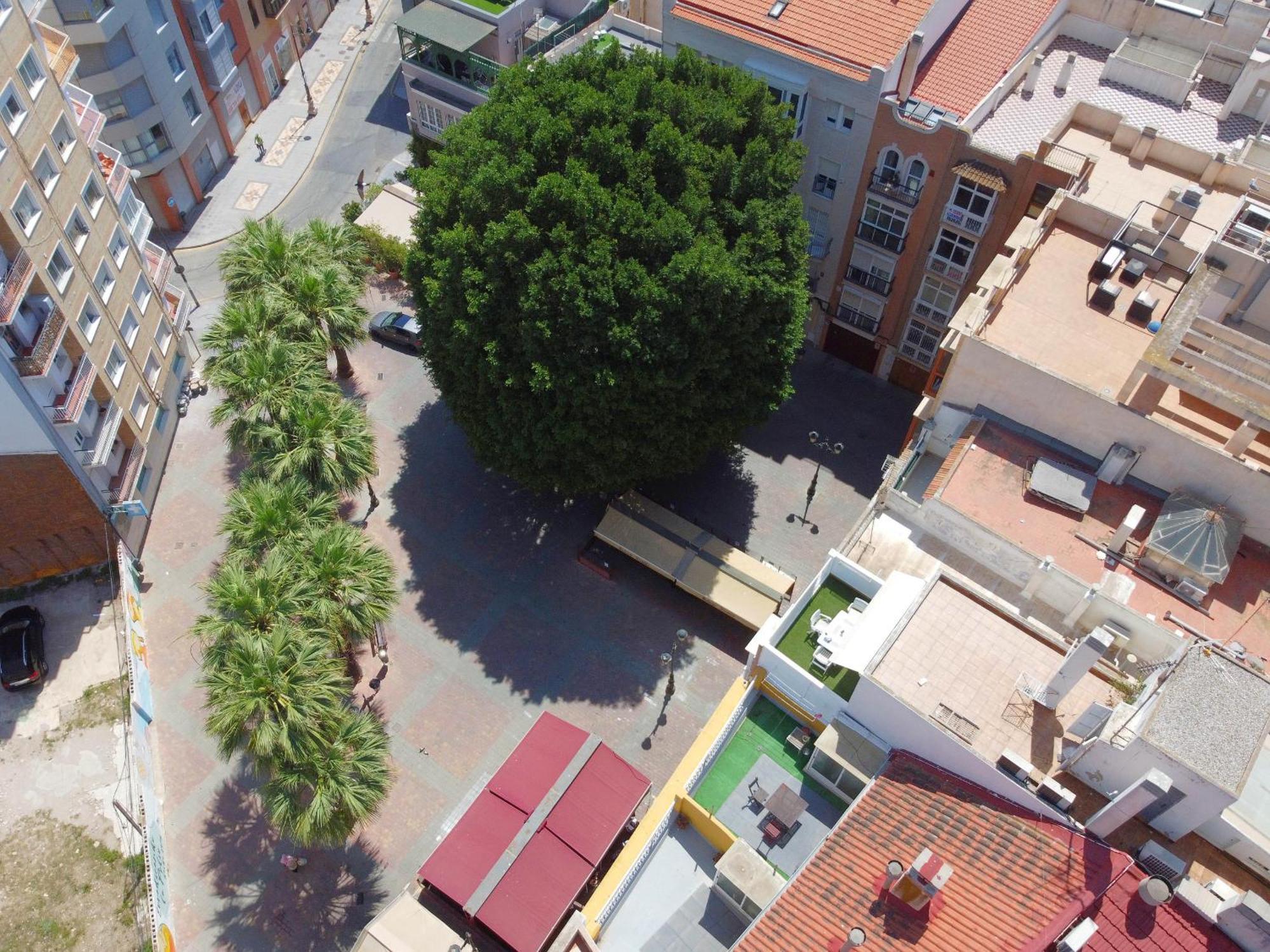 Apartamentos Nuevo Edificio Alba Cartagena Centro Parking Luaran gambar